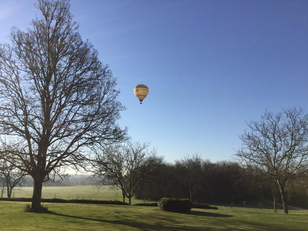 Le Clos Du Cerf Cellettes (Loir-et-Cher) Bagian luar foto